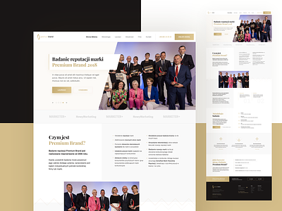 Premium Website design homepage logo rwd typography ui ux web webdesign website