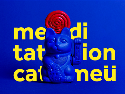 Poster bluecat colors graphicdesign meditation