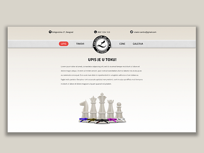 Website concept bjj chess design figures icons lutador texture web
