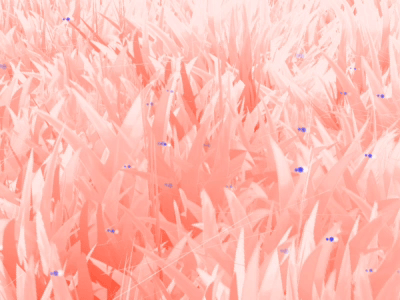 Windy trip! aftereffects bush cinema4d game grass lowpoly pink plant trippy background
