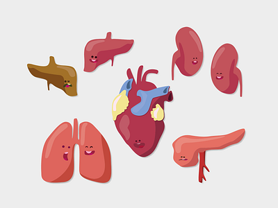 Quick Organ Illustrations