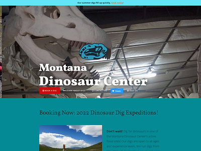 Montana Dinosaur Center Transition & Rebrand ecommerce elementor facebook ads landing page seo web design wordpress