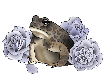 Toad illustation illustrator toad