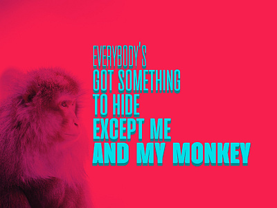 Everybody's got something to hide except me and my monkey