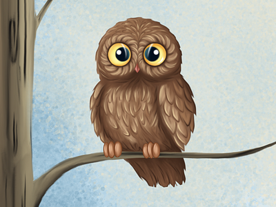 Owl illustration