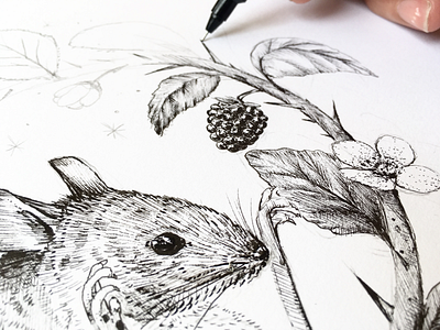 Mouse WIP art artist dessin illustration illustrator pencil pencildrawing sketch sketching wip