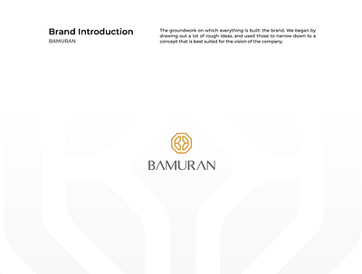 BAMURAN | Brand Identity brand brand identity branding design flat graphic design icon illustration logo vector