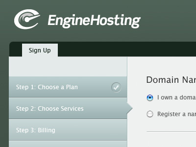 EngineHosting Sign Up enginehosting expressionengine green hosting interface sign up steps