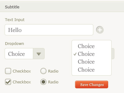 More Form Elements beige button checkbox dropdown field form