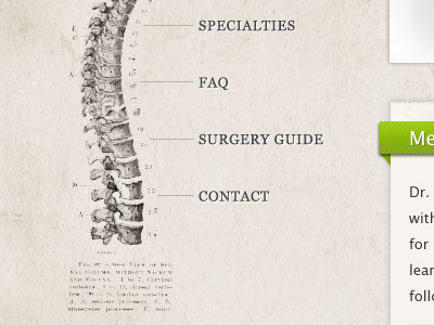 Doctor Website Navigation navigation texture