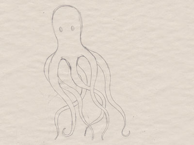 Octopus illustration octopus sketch