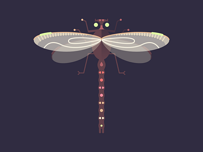 Dragonfly