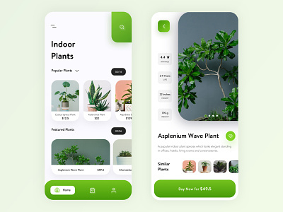 Indoor Plants App UI Design 2019 design trend 2019 trend app design clean flowers app minimal plants app popular design product designer trending uidesign uxdesign visual design
