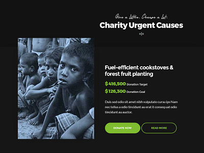 Charity Donate Section UI