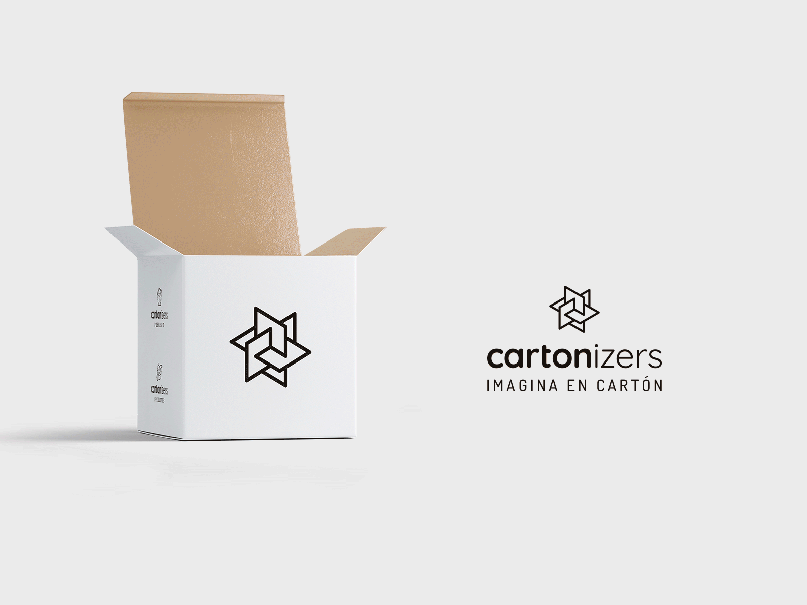 Cartonizers: Naming , identity & packaging art direction branding graphic design identity identity branding identity design logo naming packaging packaging design