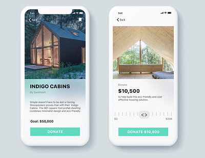 Crowdfunding campaign ioS app concept app app design dailyui design interfacedesign ios minimalist mobile app simple design ui ux webdesign