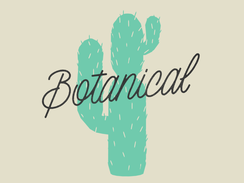 Botanical Cactus 3d cactus logo script