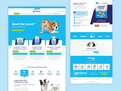 Glandex :: Homepage animal care animals cat dogs homepage product card slider tabs ui ux vet