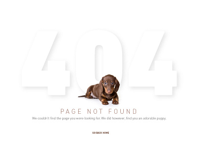 404 Page 404 404 page dachshund page not found puppy ui ux