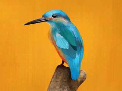 Kingfisher Bird bird bird illustration blue brush canvas illustration kingfisher yellow