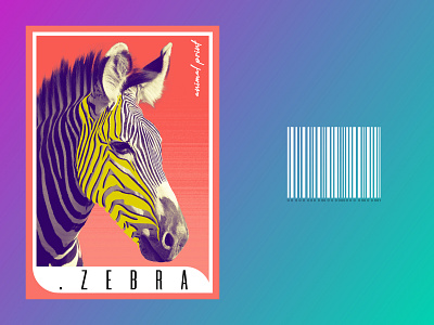 #1.ZEBRA