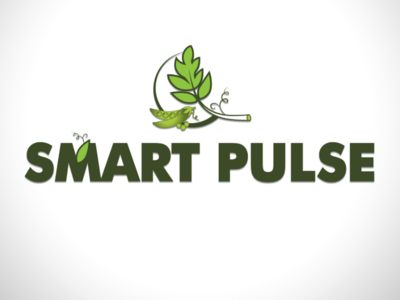 Smart Pulse art work branding color creative design icon illustration innovation logo ui