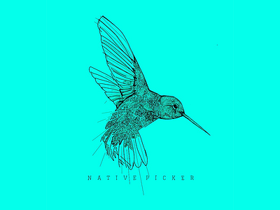 Native Picker - Hummingbird badge identity illustration line native picker