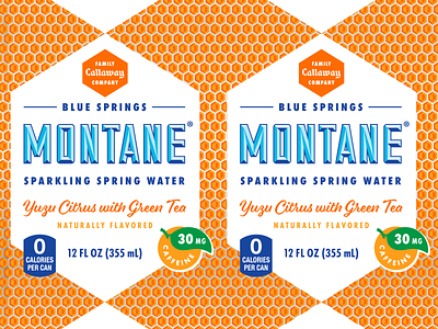 Montane Yuzu with Green Tea Can Design can package design packaging sparkling water