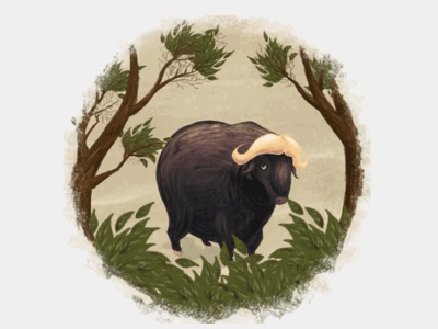 Bull bull cel animation frame by frame animation photoshop snake