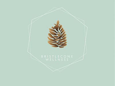 Bristlecone Wellness Branding and Logo Design acupuncture graphic design health health care logo pinecone wellness