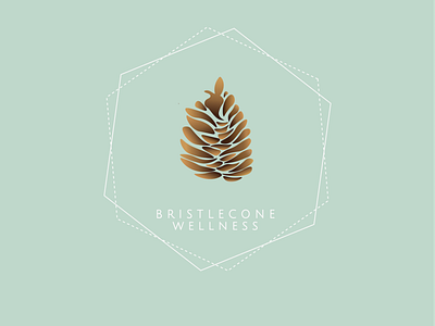 Bristlecone Wellness Branding and Logo Design