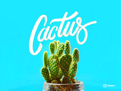 Cactus HandLettering