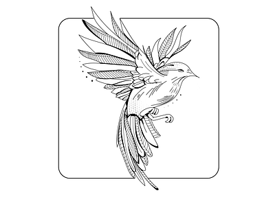 Hummingbird Design