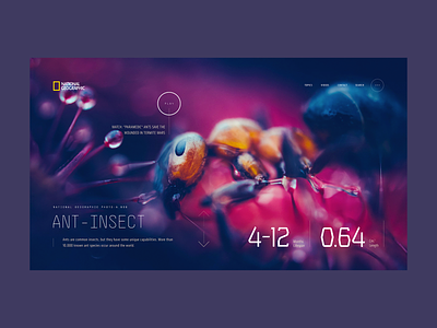 National Geographic A.01 - Concept concept design desktop interaction layout screen ui ux web design