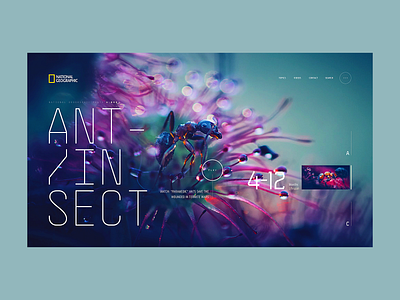National Geographic A.02 - Concept concept desktop fashion layout minimal modular screen ui ux web design