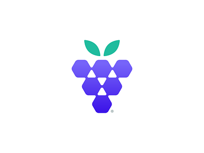 Hexagrape® brand branding concept fruit grape hexagon icon illustration logo logo design logomark mark minimal minimalist monogram nature logo simple startup symbol vector