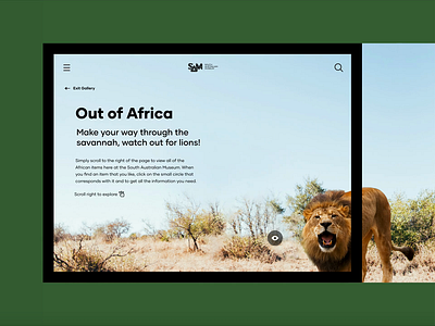 South Australian Museum — Collections africa collections custom design digital ipad museum nature savannah ui ux website wildlife