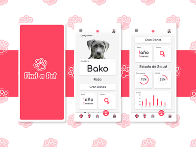 Find a Pet design dog dogs care flat interface pet pet care pets ui ui design uidesign uiux user interface ux ux design uxdesign web web design