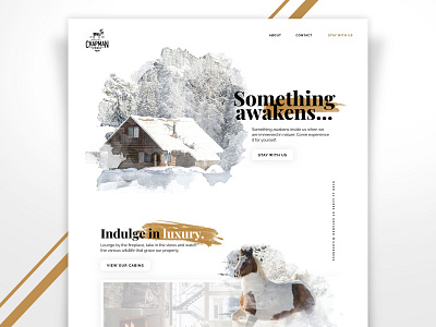 Cabin Retreat Homepage Design cabin luxury rustic snow travel web web design