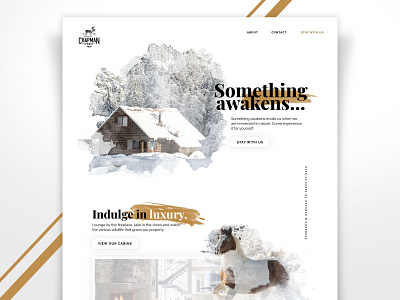 Cabin Retreat Homepage Design