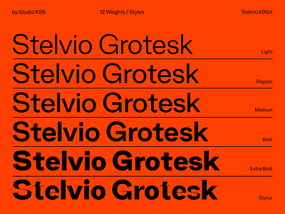 Stelvio Grotesk bold font fonts glyphs grotesk medium regular swiss type design typogaphy
