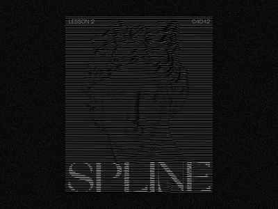 Spline Poster