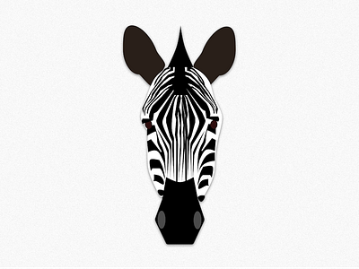 Zebra animal blackwhite design geometric illustration minimalistic sketch stripes vector zebra zoo