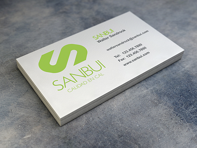 Sanbui branding business design green logo