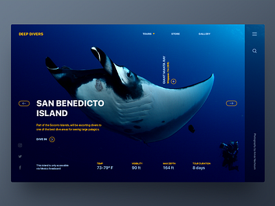 Liveaboard Diving Site by Rob Robertson on Dribbble