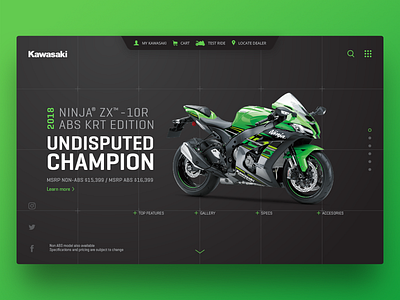 Kawasaki ZX10R Product Page Header