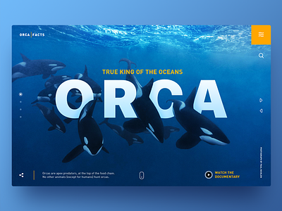 Orca True King of The Oceans appdesign header interface marinelife orca ui ux webdesign webpage