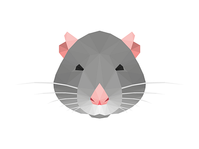 Rat 2d adobe illustrator amateur animal design flat illustration illustrator illustrator art illustrator cc low poly low poly art low polygon lowpoly lowpolyart lowpolygon rat triangle triangles vector