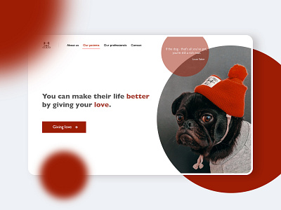 🐶 animal shelter design designer dog help pet shelter shelter for dogs ui web designer