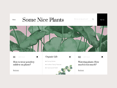 Some Nice Plants design illustration interface plants typography ui web